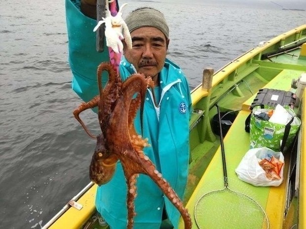 釣果