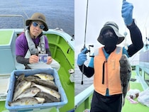【釣果速報】神奈川県野毛屋釣船店でショウサイフグの調子上向き！最大38cm！今後の釣行も期待大！