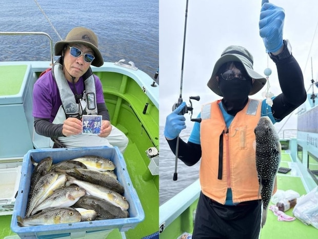 【釣果速報】神奈川県野毛屋釣船店でショウサイフグの調子上向き！最大38cm！今後の釣行も期待大！