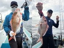 【釣果速報】神奈川県藤八丸でタイ・ワラサ・コチ・アマダイと人気魚種続々ゲット！いろいろな魚との出会いを楽しみたい人は即予約を！