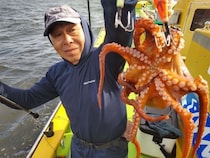 【釣果速報】神奈川県鴨下丸kawanaで全員マダコGET達成！1.50kgの良型タコも！このチャンスを逃さずに！！