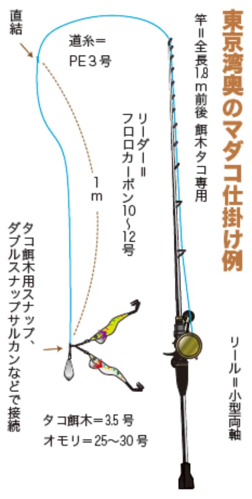 東京湾奥のマダコ仕掛け例