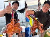 【釣果速報】良型マダコ連続確保！短時間の出船でもお土産バッチリ！充実の釣行は兵庫県こうじん丸で！