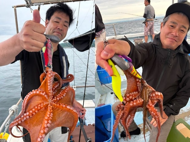 【釣果速報】良型マダコ連続確保!短時間の出船でもお土産バッチリ!充実の釣行は兵庫県こうじん丸で!