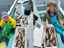 【釣果速報】今、イサキが超積極的！神奈川県伝五郎丸で皆様70～90匹ゲット！猛暑到来前に美味しいイサキを獲りに行こう！
