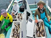 【釣果速報】今、イサキが超積極的！神奈川県伝五郎丸で皆様70～90匹ゲット！猛暑到来前に美味しいイサキを獲りに行こう！