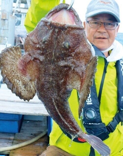 釣行の写真