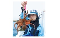 昨年より断然湧きがいい！湾奥の夏ダコ好調継続中！