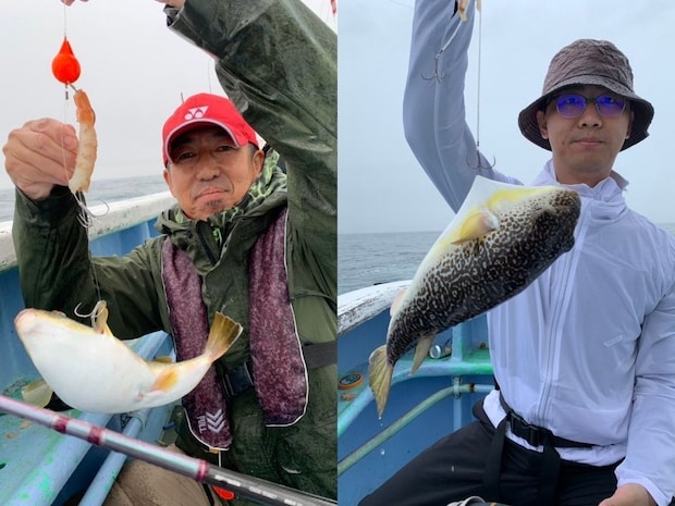【釣果速報】茨城県幸栄丸で40cmのジャンボサイズを筆頭にショウサイフグが釣れまくり!味も極上な今が乗船どき!