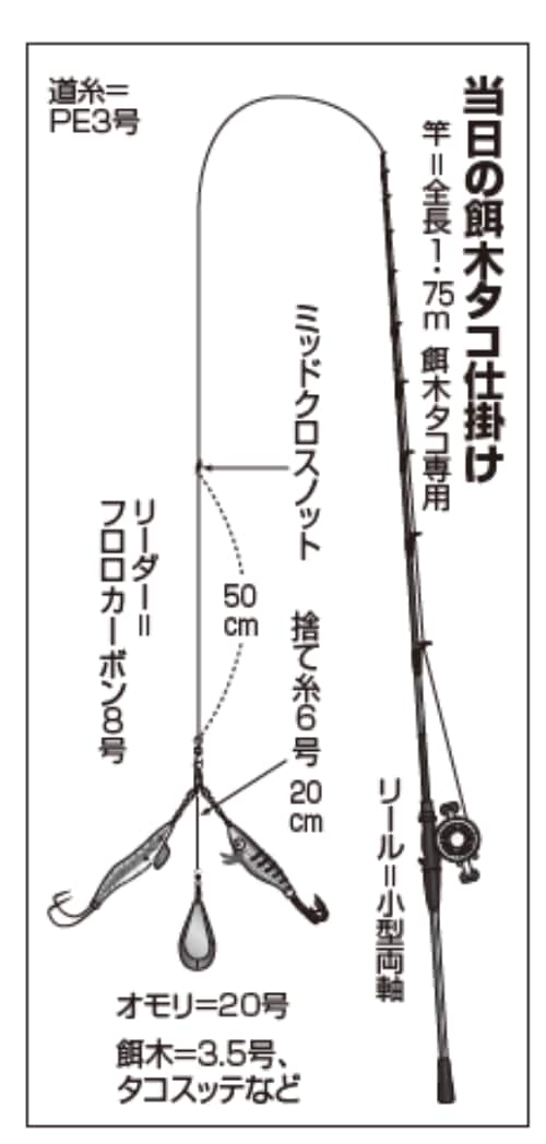 当日の餌木タコ仕掛け