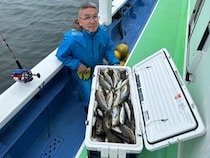 【釣果速報】神奈川県大松丸でイサキが順調にヒット！良型揃いで釣り客大満足の好釣果！チャンスの多い今、ぜひ乗船を！