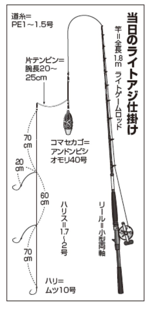 当日のライトアジ仕掛け
