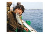 まもなく本番！横浜沖のライトアジ