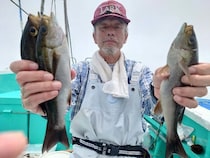 【釣果速報】千葉県利永丸でイサキラッシュ！良型揃いで釣り客大満足の好釣果！この勢いに今すぐ乗ろう！