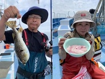 【釣果速報】茨城県幸栄丸でショウサイフグが絶好調！最大40cm！好調な今がチャンス！