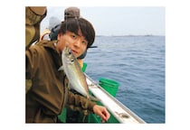 まもなく本番！横浜沖のライトアジ