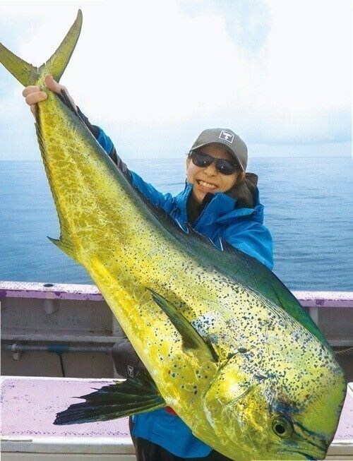 釣行の写真