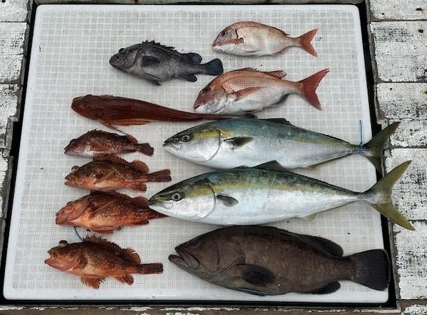 釣果