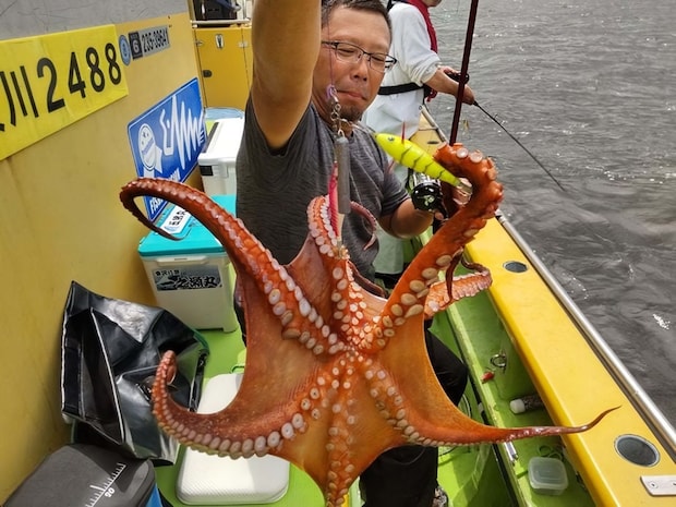 【釣果速報】神奈川県鴨下丸kawanaでマダコ釣り好調！連発で大興奮！三連休はマダコ釣りで決まり！