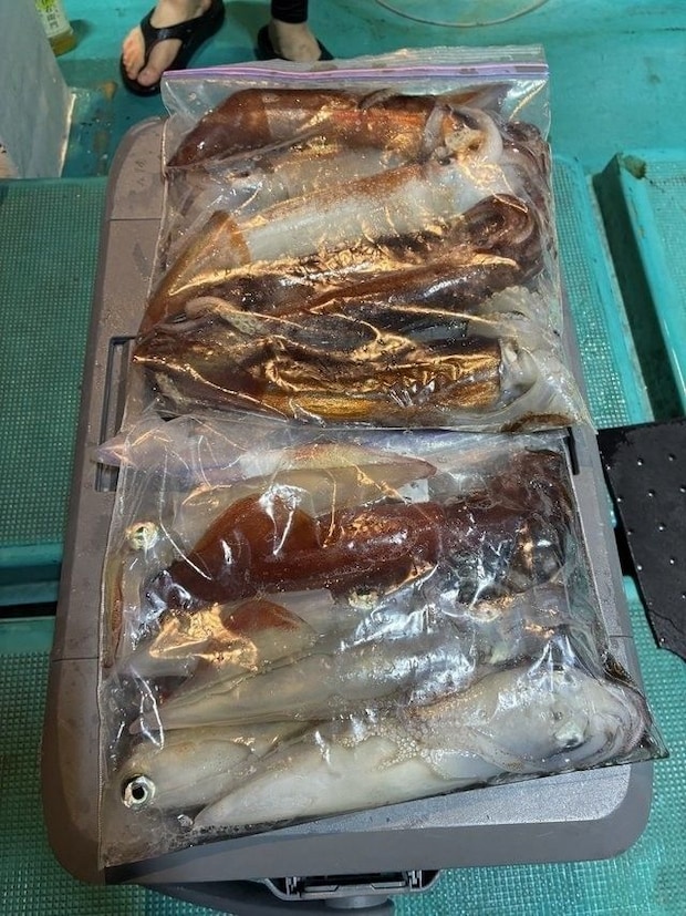 釣果