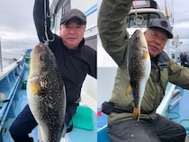 【釣果速報】今なら近場で大型！しかも白子入り！茨城県幸栄丸のショウサイフグ船に一刻も早く乗船だ～！