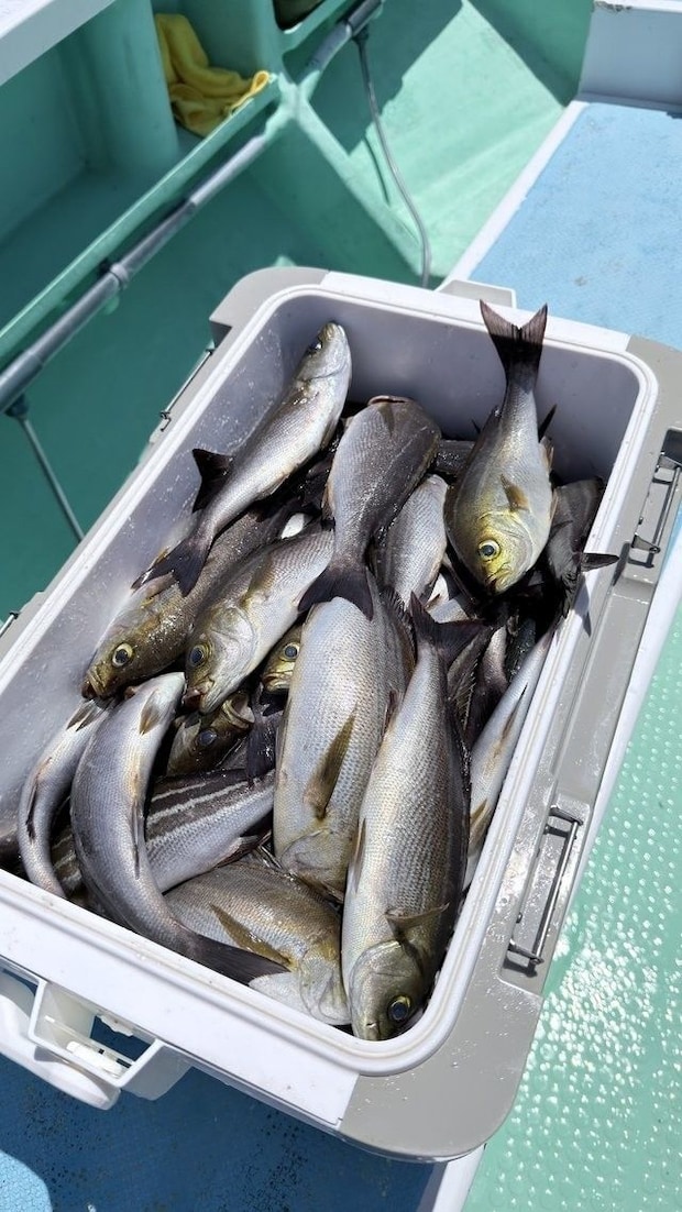 釣果