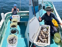 【釣果速報】イサキでクーラーボックスがパンパン！絶好調の神奈川県伝五郎丸は今後の釣行も期待大！
