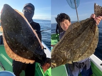 【釣果速報】神奈川県あまさけや丸で人気のヒラメ釣れた！あなたもあまさけや丸でヒラメを狙おう！