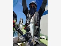 【釣果速報】神奈川県愛正丸でアジ好調！竿頭は40匹！質も量も大満足の釣行を楽しもう！