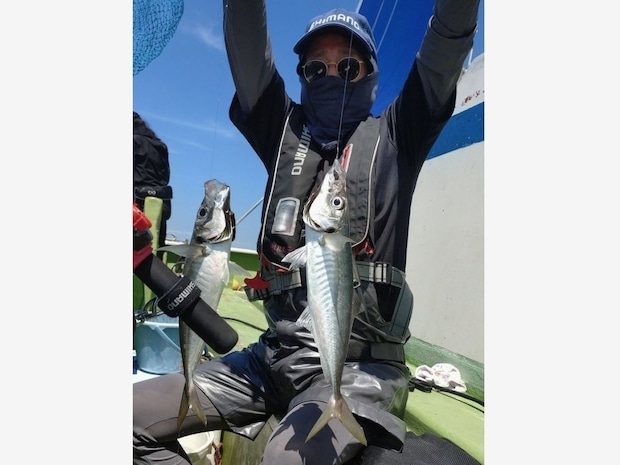 【釣果速報】神奈川県愛正丸でアジ好調!竿頭は40匹!質も量も大満足の釣行を楽しもう!