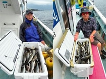 【釣果速報】35cmのデカイサキをキャッチ！神奈川県正海丸の船長が厳選したポイントで人生最大のイサキを捕まえよう！