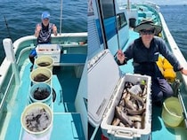 【釣果速報】イサキでクーラーボックスがパンパン！絶好調の神奈川県伝五郎丸は今後の釣行も期待大！