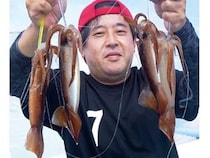 南房まで群れ拡大　今こそ乗せまくれ！　スルメ絶好期突入へ
