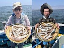 【釣果速報】神奈川県ちがさき丸でキス全員ゲットで絶好調！トップ36匹でお土産ばっちり！釣れてる今、行くしかないっしょ！