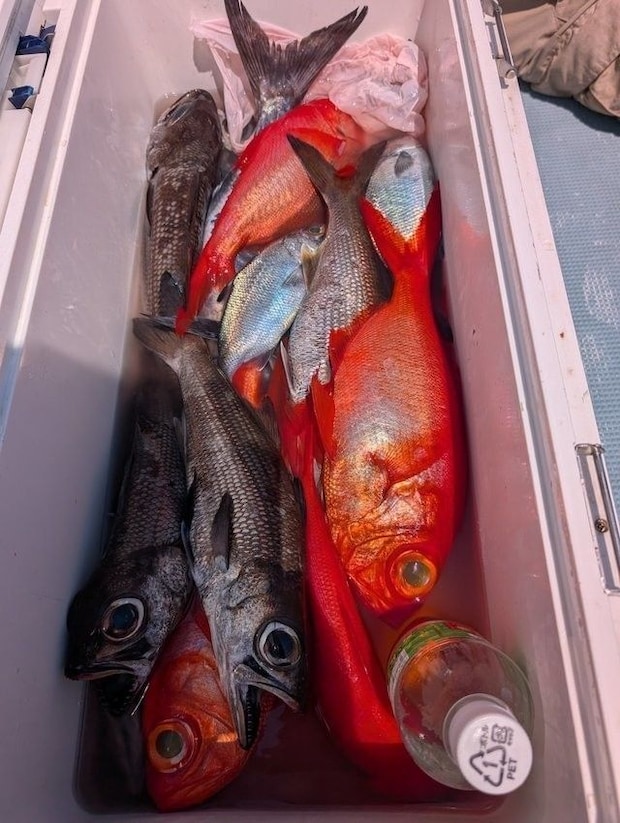 釣果
