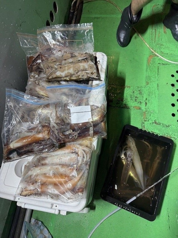 釣果