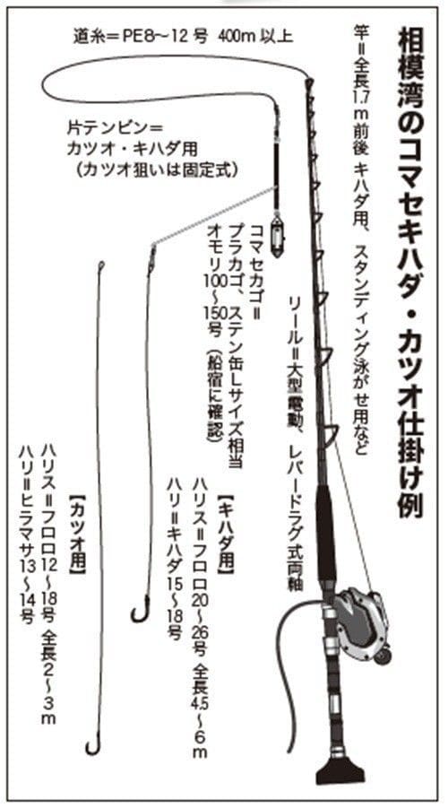 仕掛けの図