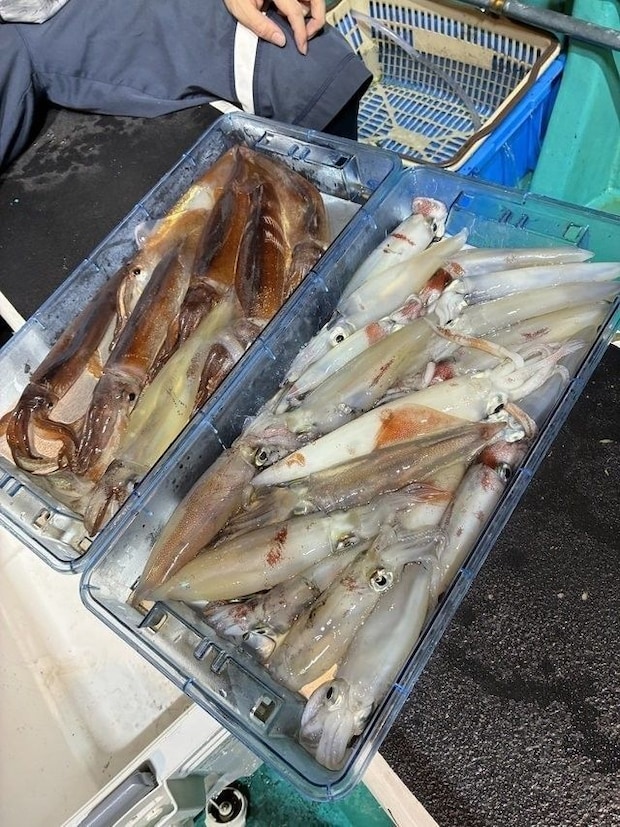 釣果