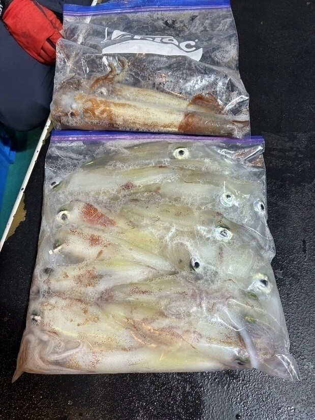 釣果