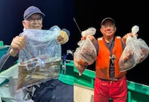 【釣果速報】茨城県長岡丸でムギイカ釣り好調！連発で大興奮！夏休みはムギイカ釣りで決まり！