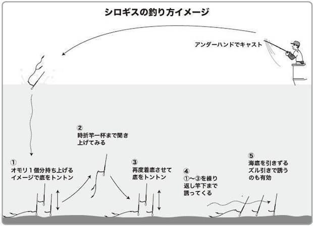 釣り方のイメージ図
