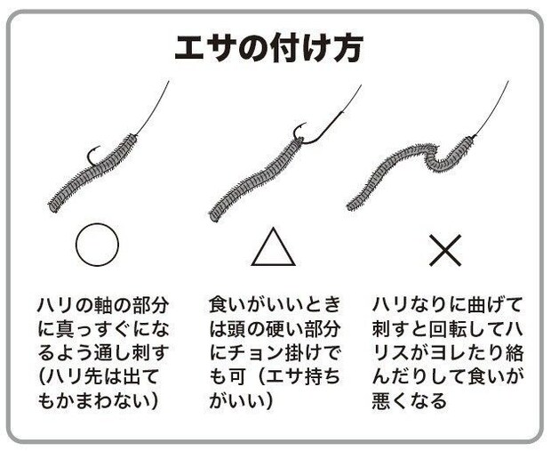 エサの付け方の図
