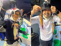 【釣果速報】茨城県幸栄丸のムギイカ釣行で竿頭が驚愕の294匹キャッチ達成！数も型も大満足の釣行へGO！
