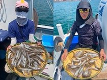 【釣果速報】シロギス続々ヒットでお土産いっぱい！あなたも静岡県山大丸で食べ頃サイズを狙おう！