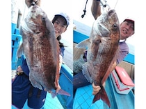 【釣果速報】2.94kgのどでかマダイ上がる！茨城県大春丸の釣行は大興奮の連続だ！予約は急いで！
