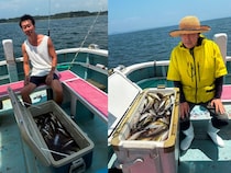 【釣果速報】超人気魚のイサキがヒット炸裂！！神奈川県正海丸でワンランク上の釣行を！