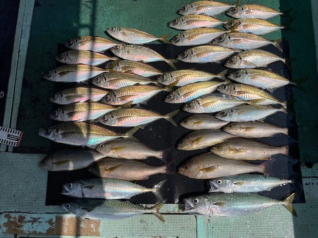 釣果