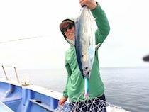 【釣果速報】神奈川県丸伊丸でカツオ・シイラ好調！カツオ最大2.50kg、シイラ122cm！今後の釣行にも期待大！