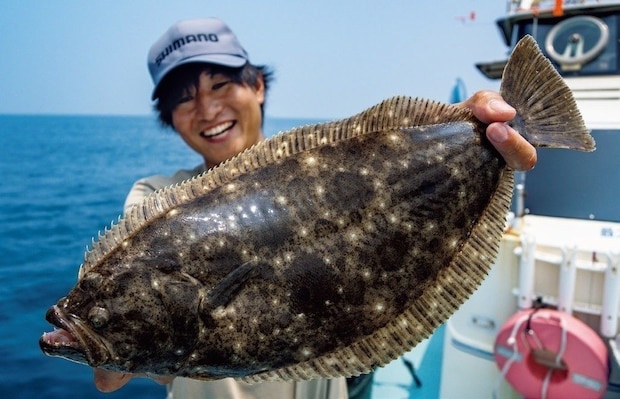 釣行の写真