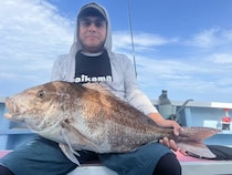 【釣果速報】千葉県梅花丸で6.44kgの特大マダイ出た！次にビッグワンを手にするのはあなたかも？！